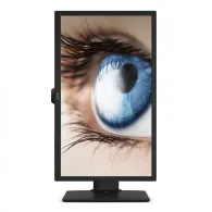 Monitor 24 benq bl2483t tn fhd 1920*1080 250 cd/mp 170/160 Benq - 1