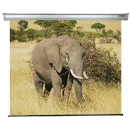 Ecran de proiectie montabil pe perete sopar platinum 220 x Sopar - 1