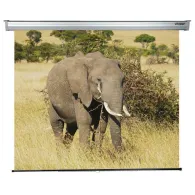 Ecran de proiectie montabil pe perete sopar platinum 200 x Sopar - 1