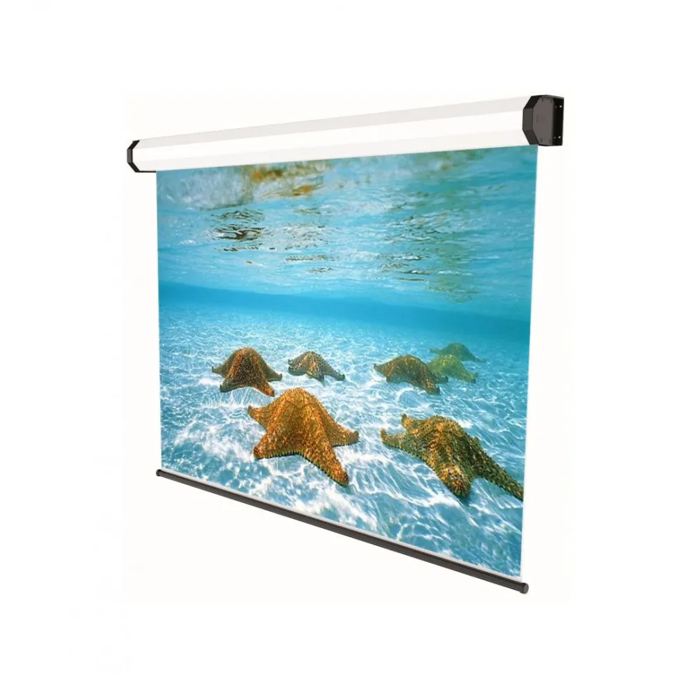 Ecran de proiectie electric sopar profesional alb 350 x 265cm Sopar - 1