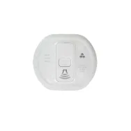 Carbon monoxide wireless detector Honeywell - 1