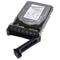 DELL 400-AEGG hard disk-uri interne 3.5" 2000 Giga Bites ATA III Serial Dell - 1
