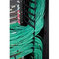 APC NetShelter SX 42U Raft de sine stătător Negru Apc - 6