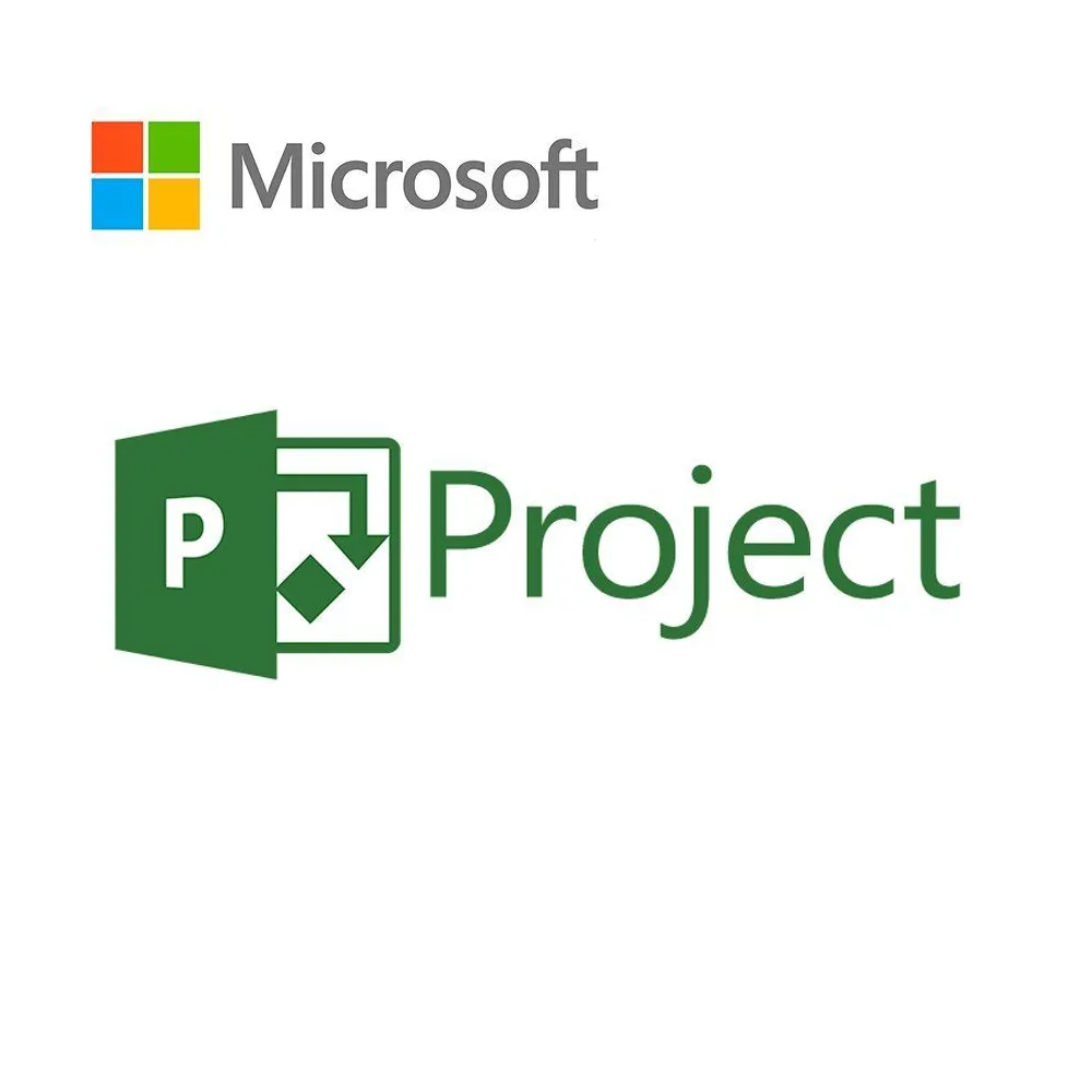 Project pro 2019 win romanian medialess Microsoft - 1