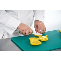 Paring knife  8 cm green handle total length: 19 cm Heinner - 1