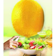 Pulverizator suc lamaie/citrice material : plastic acest produs poate fi Vanora - 1