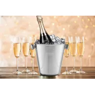 Frapiera inox 14 cm Vanora - 1