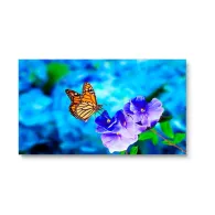 Display 55 nec multisync un552vs pentru videowall fullhd 500cd/m² bezel 0.88 mm Nec - 1