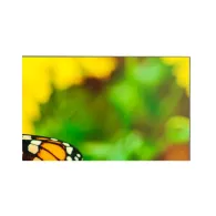 Display 55 nec multisync un552s pentru videowall  fullhds-ips 700 cd/m² Nec - 1