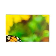 Display 55 nec multisync un552s pentru videowall  fullhds-ips 700 cd/m² Nec - 1