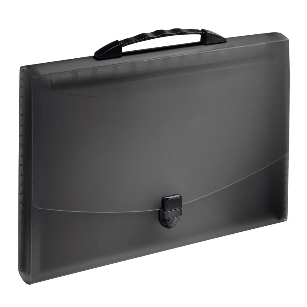 Mapa tip proiect cu maner esselte vivida pp negru Esselte - 1