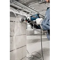 Bosch 0 601 19C 801 fără categorie Bosch - 5