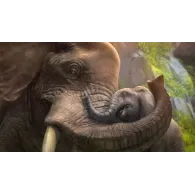 Microsoft Zoo Tycoon, Xbox One Standard Microsoft - 5