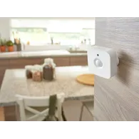 Philips Hue Motion sensor