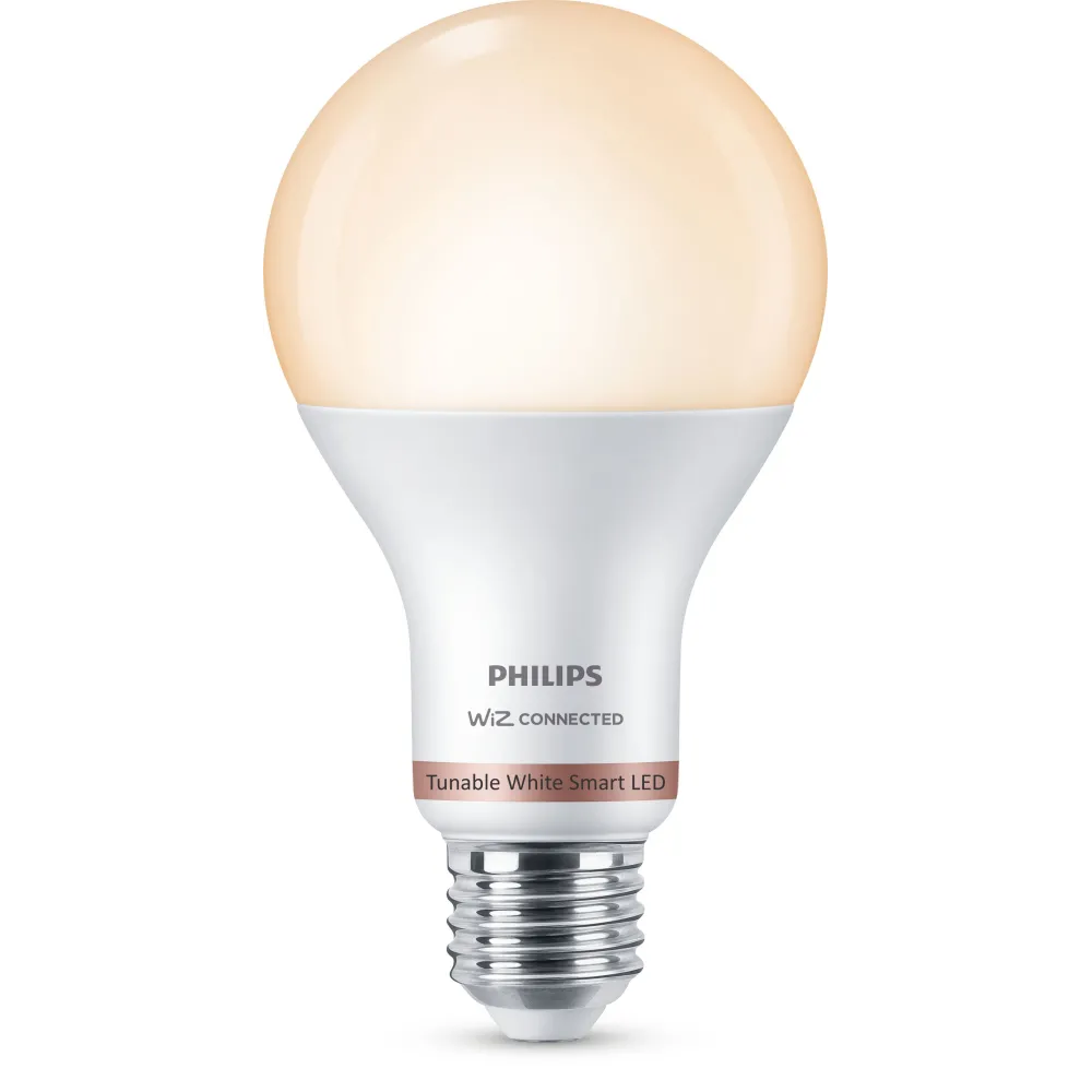 Philips Bec 13 W (echivalent cu 100 W) A67 E27 Philips by Signify - 1