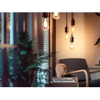 Philips Pachet de 1, ST72, E27, Filament, Edison Philips by Signify - 5