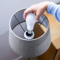 WiZ Bec 8 W (echivalent cu 60 W) A60 E27 WiZ - 6