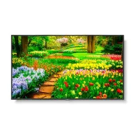 Display nec-uhd-500cd/m2-e-led backlight-49 Nec - 1