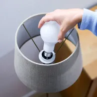 WiZ Bec 13 W (echivalent cu 100 W) A67 E27 WiZ - 3