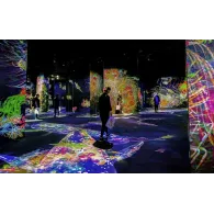 Epson EB-PU1008B Epson - 4