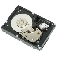 DELL 400-AUST hard disk-uri interne 3.5" 2000 Giga Bites ATA III Serial Dell - 1