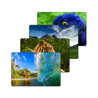 Mouse pad gembird Gembird - 1