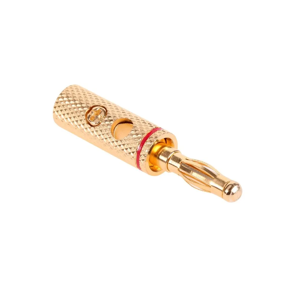 Mufa banana tata gold  - 1