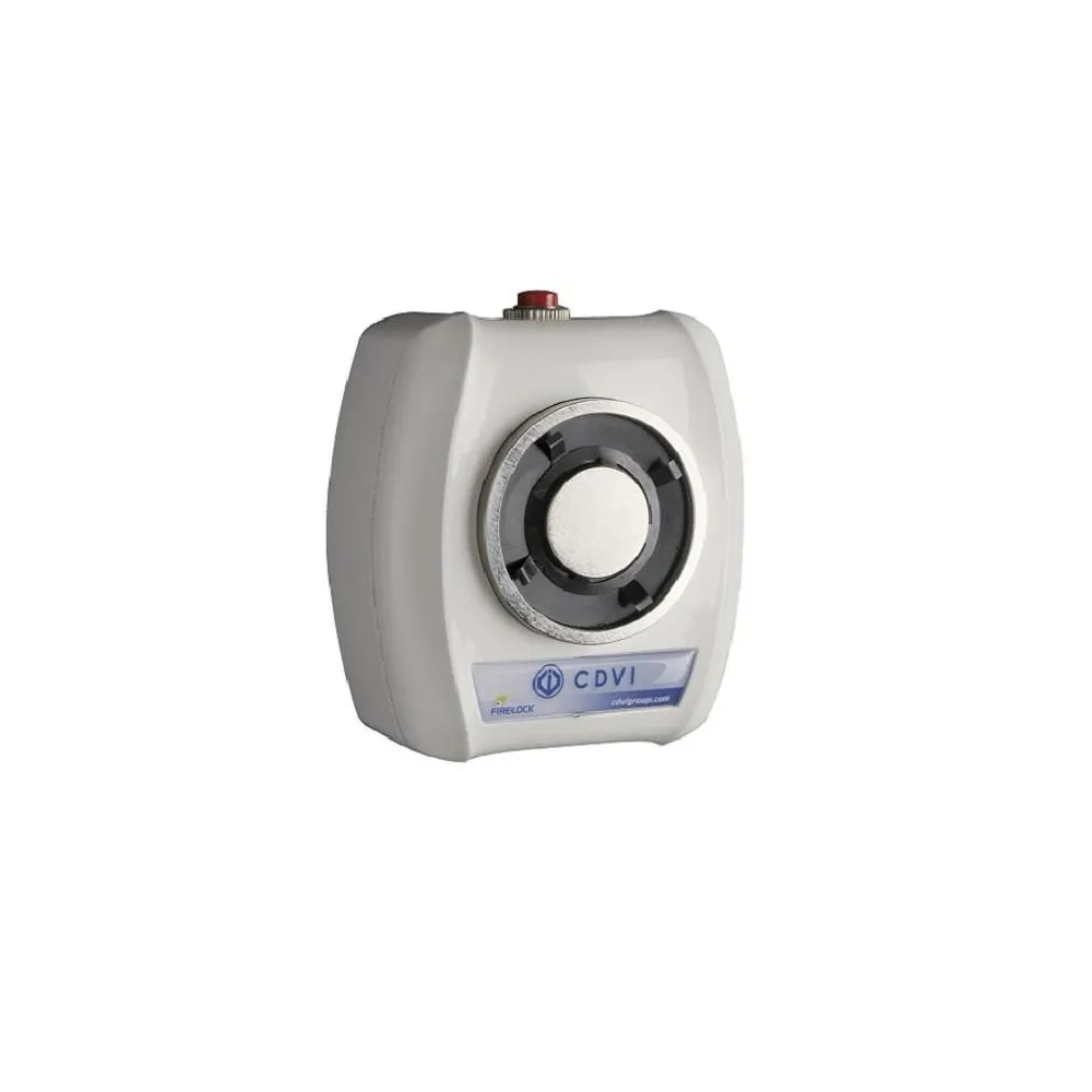 Electromagnet pentru retinerea usii in caz de incendiu forta de Other - 1