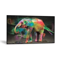 DynaScan DI100ST2 100 LED display Dynascan - 1