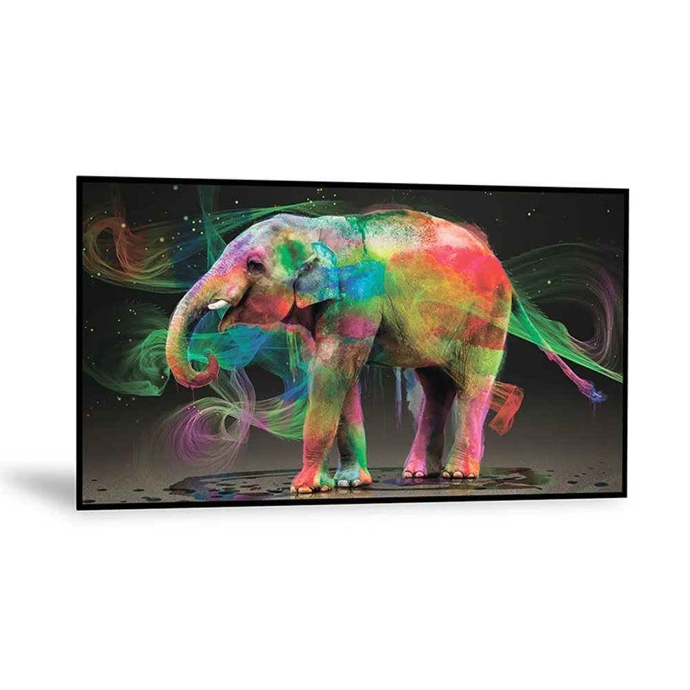 DynaScan DI100ST2 100 LED display Dynascan - 1