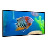 DynaScan LCD display DI551ST2 - 140 cm (55) - 1920 x 1080 Full HD Dynascan - 1