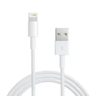 Apple Lightning cable - 1 m Apple - 1