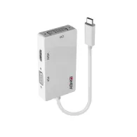 Lindy 43273 adaptor grafic USB 3840 x 2160 Pixel Alb Lindy - 1