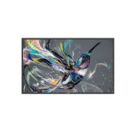 Philips 65BDL3550Q/00 Afișaj Semne 165,1 cm (65") IPS 400 cd/m² 4K Ultra HD Android 8.0 18/7 Philips - 1