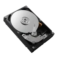 DELL 400-BBFT hard disk-uri interne 2.5" 1200 Giga Bites SAS Dell - 1