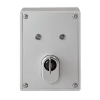 ABUS key switch incl. ABUS quality cylinder SE1010 Abus - 1