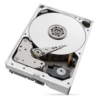 Seagate IronWolf Pro ST10000NT001 hard disk-uri interne 3.5" 10000 Giga Bites Seagate - 5