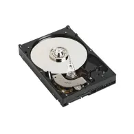 DELL 400-AFPZ hard disk-uri interne 3.5" 2000 Giga Bites Serial ATA II - Dell - 1