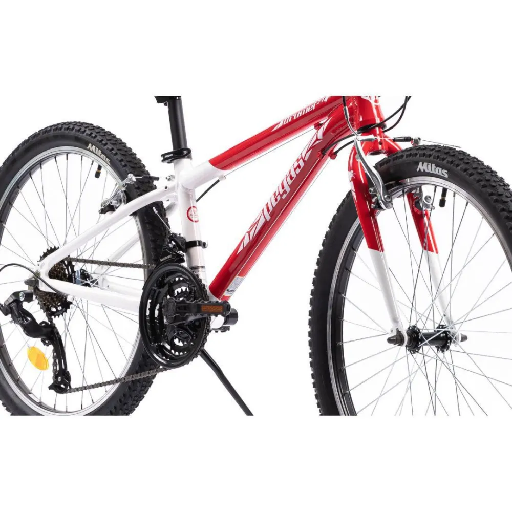 Ptg sau pegas trail geometry - este o caracterisitică a