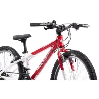 Ptg sau pegas trail geometry - este o caracterisitică a