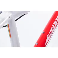 Ptg sau pegas trail geometry - este o caracterisitică a