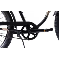 Creat în 1972 reinventat în 2012. pegas s-a relansat cu