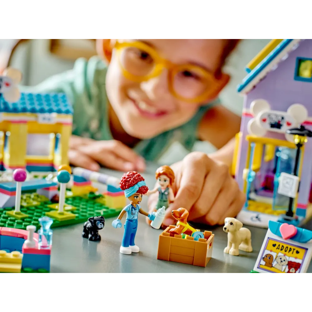 41727 centru de salvare pentru caini