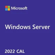 Windows server cal 2022 100user