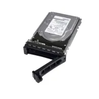 DELL 400-BJKQ hard disk-uri interne 3.5" 16000 Giga Bites SAS