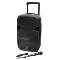 Boxa Platinet PMG220, 35W, bluetooth, funcție karaoke, negru