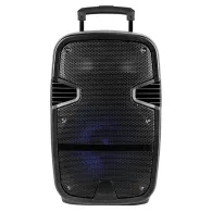 Boxa Platinet PMG220, 35W, bluetooth, funcție karaoke, negru