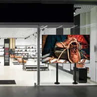 Marmitek MegaView 251 Pro Emițător & receiver AV Negru