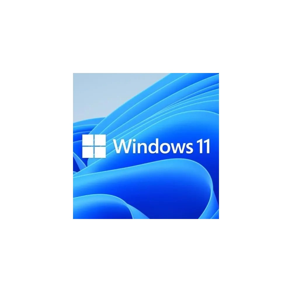 Microsoft Windows 11 Home 64-bit, Romana, Retail/FPP, USB