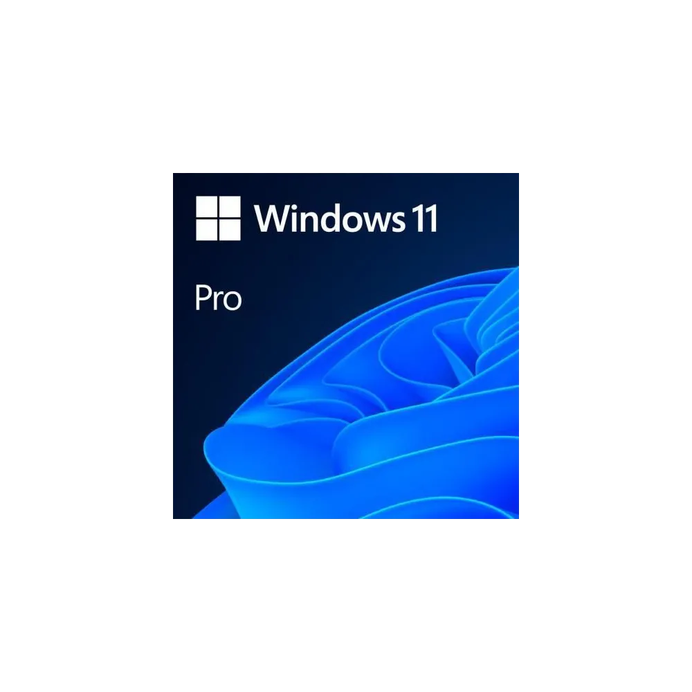 Microsoft Windows 11 Professional 64-bit, Romana, Retail/FPP, USB